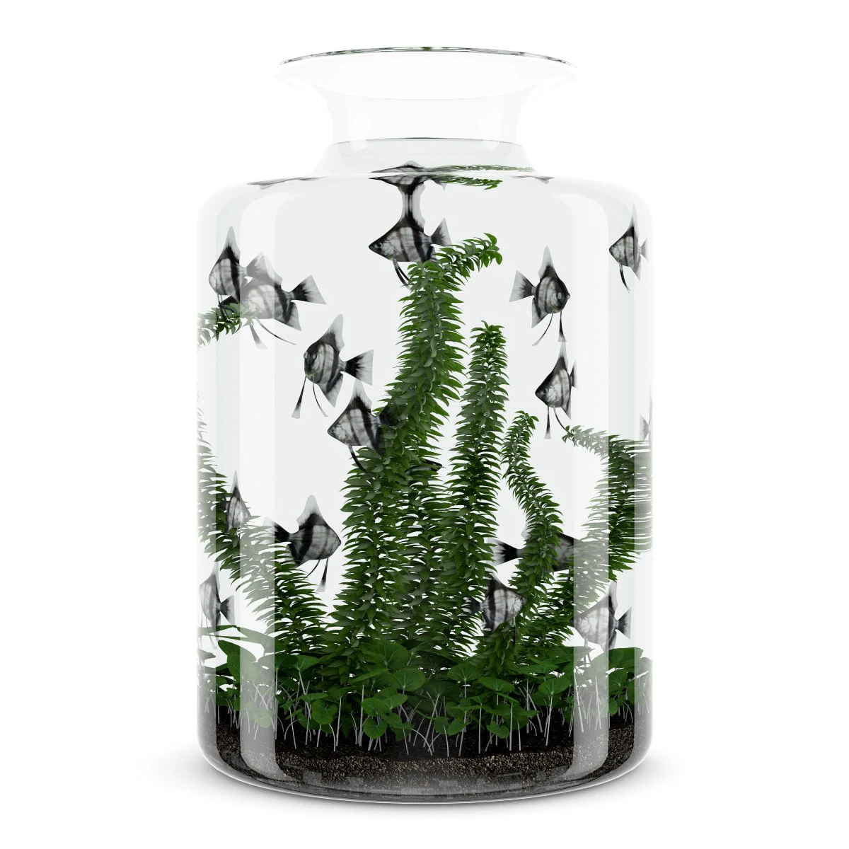 akuarium yang tampak seperti jar Model 3D .c4d .max .obj .3ds .fbx .stl .blend 