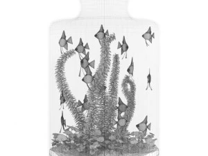 akuarium yang tampak seperti jar Model 3D