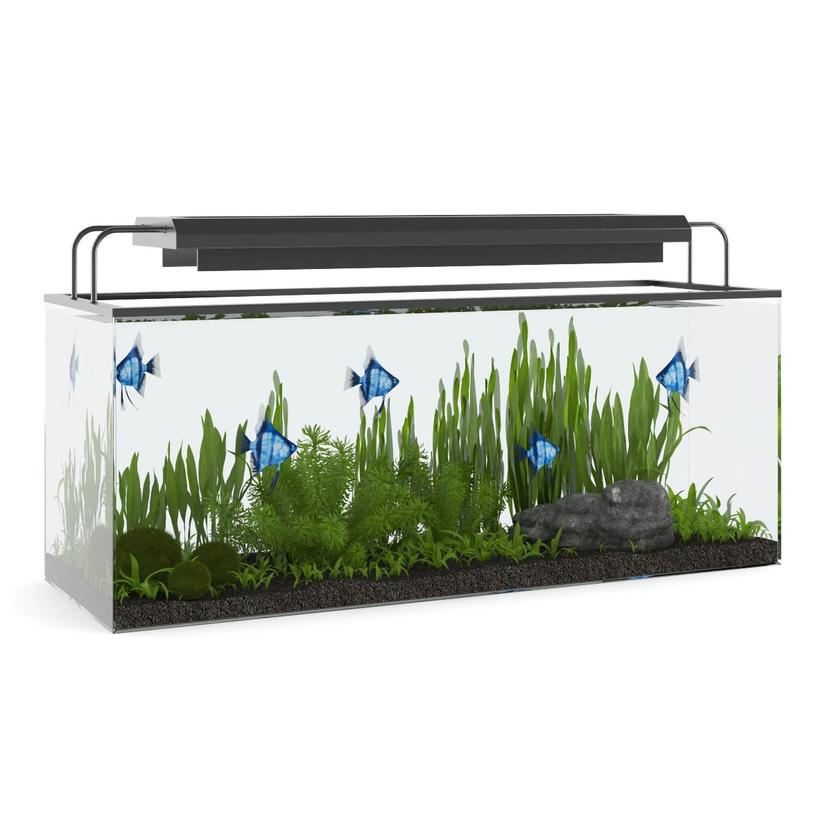 rectangular aquarium with light 3D Model .c4d .max .obj .3ds .fbx .stl .blend 