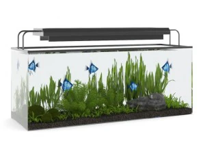 ライト付き長方形水槽 3Dモデル