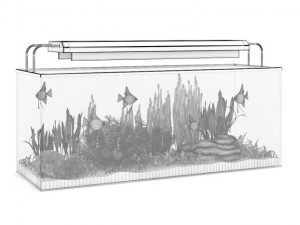 rectangular aquarium with light 3Dモデル