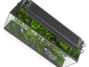 rectangular aquarium with light 3Dモデル
