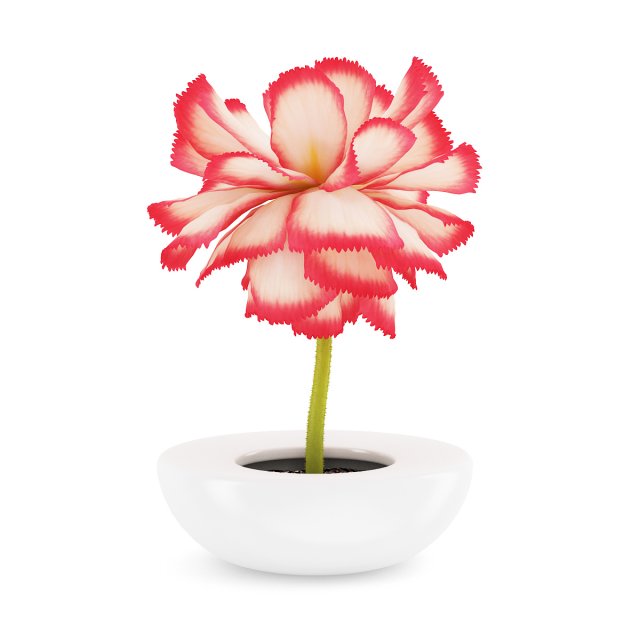 pink flower in white pot Modèle 3D .c4d .max .obj .3ds .fbx .stl .blend 