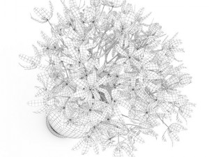 blue flowers in white vase Modello 3D