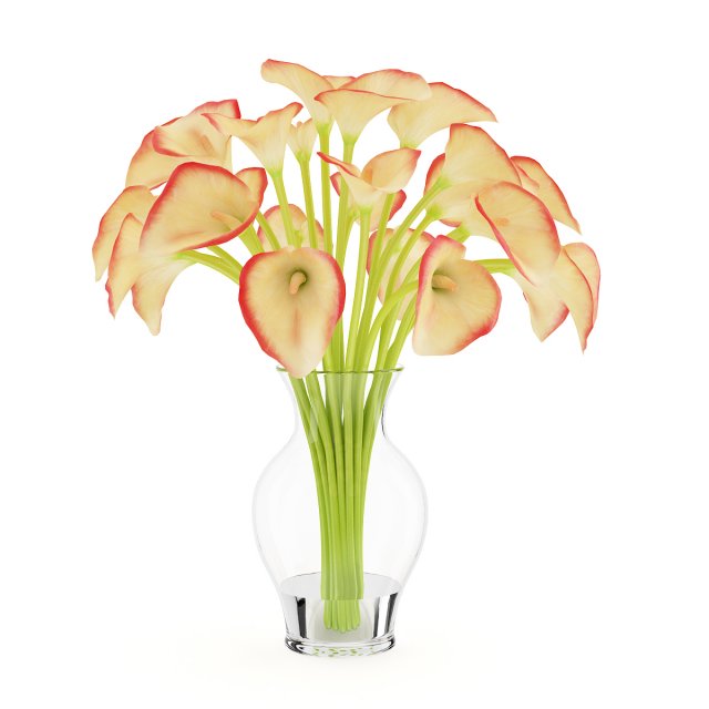 calla lilies in vase 3D 모델 .c4d .max .obj .3ds .fbx .stl .blend 