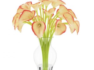 calla lilies in vase 3D Model
