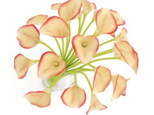 calla lilies in vase 3D 모델