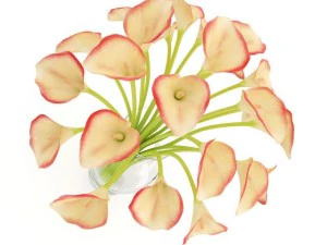 calla lilies in vase 3D Model