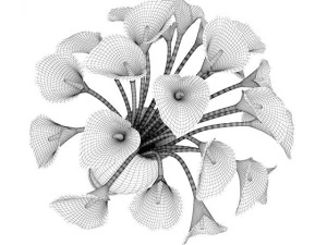 calla lilies in vase 3D Model