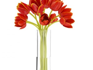 orange tulips in vase 3Dモデル