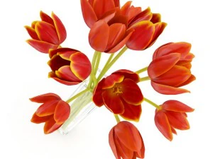 orange tulips in vase 3D Model