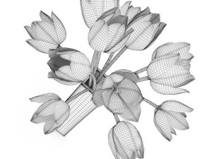 orange tulips in vase 3D 모델