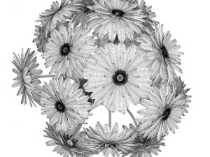 threecolor flowers in black vase 3D Model