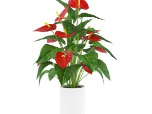 fleur rouge dans un pot blanc Modèle 3D