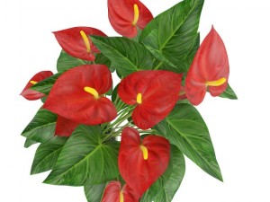 red flower in white pot 3D Model