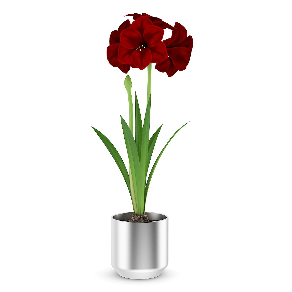 red flower in chrome pot 3D Model .c4d .max .obj .3ds .fbx .stl .blend 