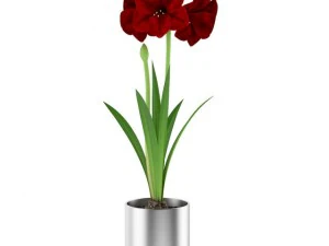 flor vermelha em vaso cromado Modelo 3D