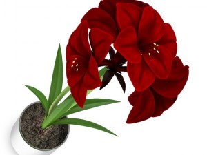 red flower in chrome pot Modelo 3D