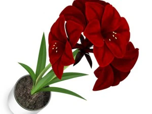 red flower in chrome pot 3D Model