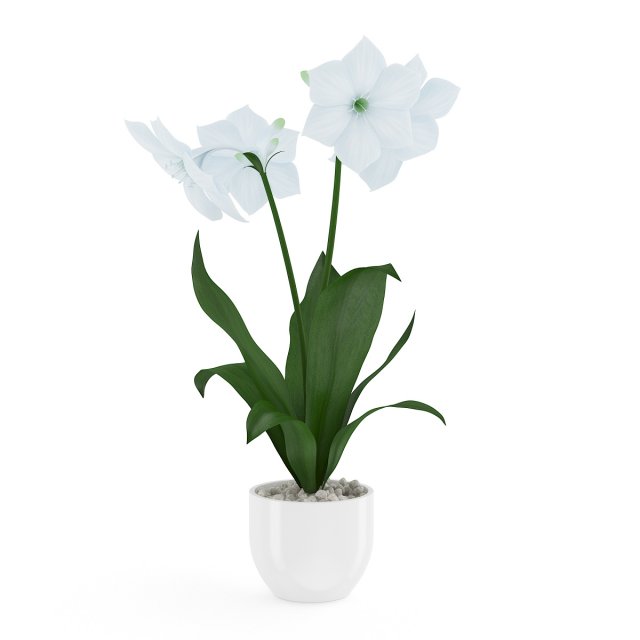 red flower in chrome pot 3D 모델 .c4d .max .obj .3ds .fbx .stl .blend 