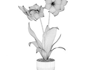 червона квітка в хромованому горщику 3D Модель