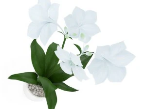 червона квітка в хромованому горщику 3D Модель