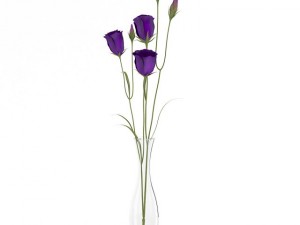 eustoma flowers in vase 3Dモデル