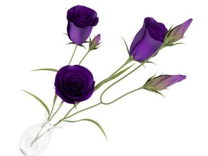 eustoma flowers in vase 3D Model