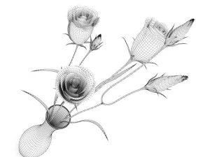 eustoma flowers in vase 3D Model