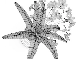 streptocarpus in white pot 3D Model