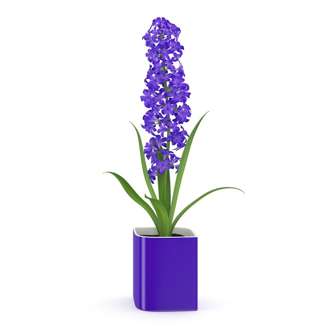 purple flower in pot 3D Model .c4d .max .obj .3ds .fbx .stl .blend 