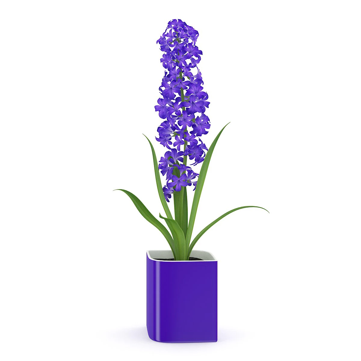 purple flower in pot 3D Model .c4d .max .obj .3ds .fbx .stl .blend