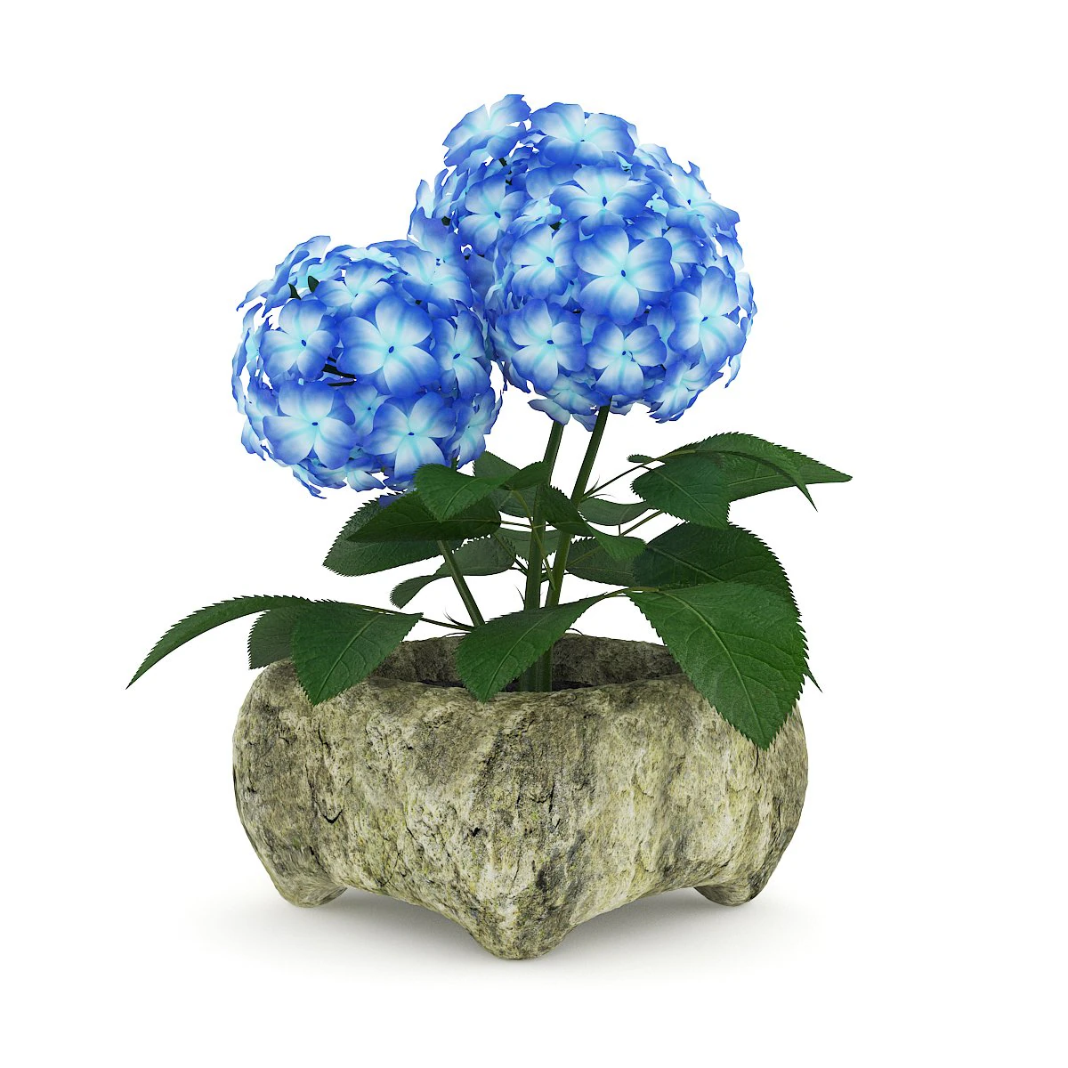 blue flower in stone pot 3D Model .c4d .max .obj .3ds .fbx .stl .blend 