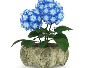 bunga biru dalam pot batu Model 3D