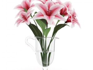 pink lilies in vase 3D Models