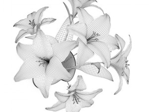 pink lilies in vase 3D-Modell