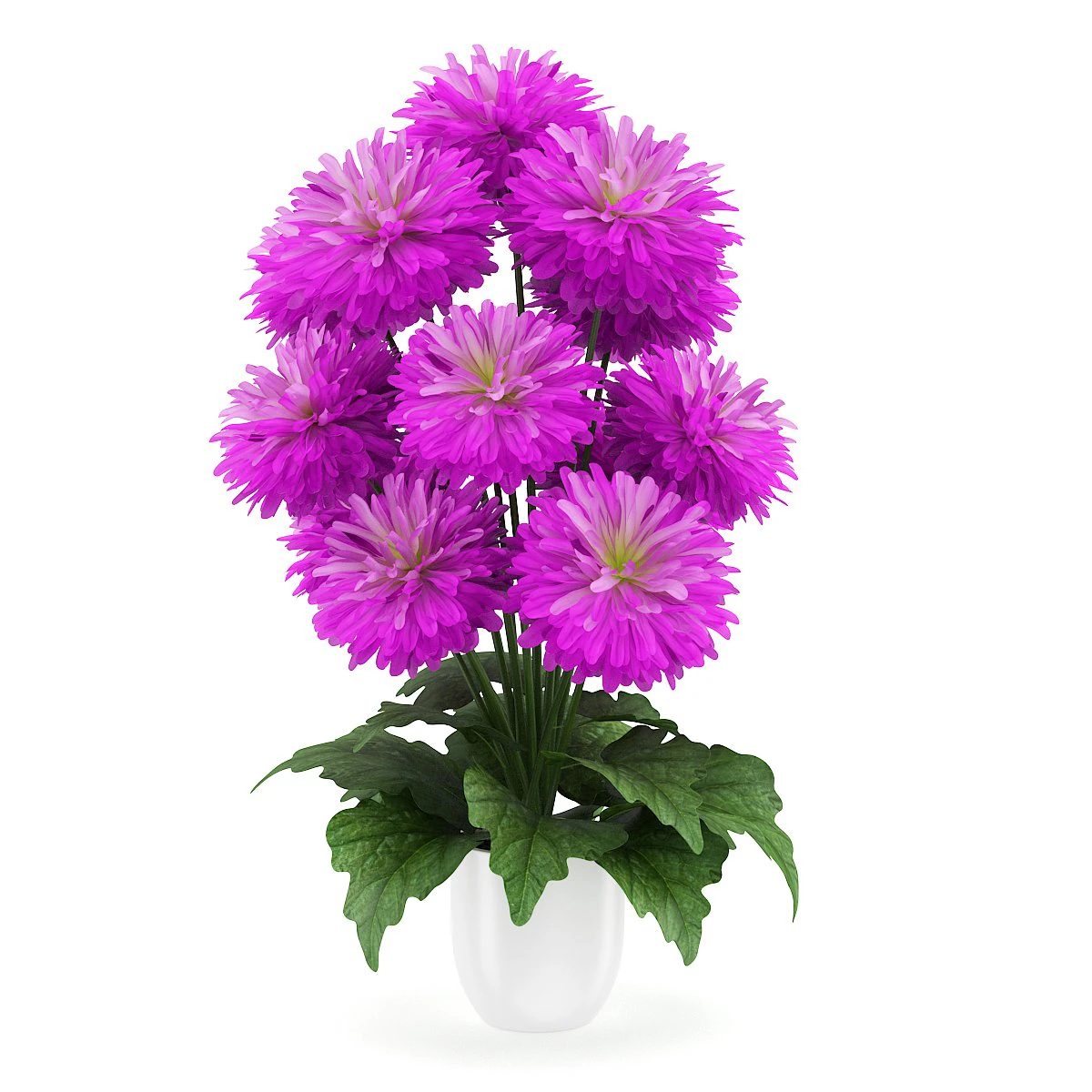 pink flowers in white pot 3D Model .c4d .max .obj .3ds .fbx .stl .blend