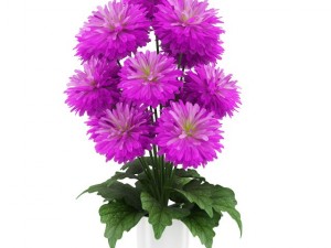 pink flowers in white pot 3D Model