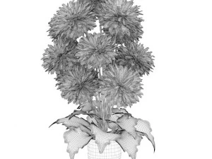 pink flowers in white pot 3D Model