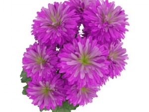 pink flowers in white pot Modello 3D