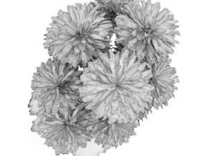 pink flowers in white pot Modello 3D