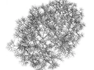 acer platanoides 8m winter 3D Model