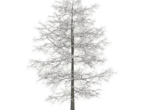 普通石灰 10m 冬季 3D 模型