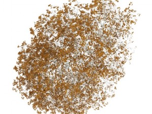 birchtree 8m autumn Modelo 3D