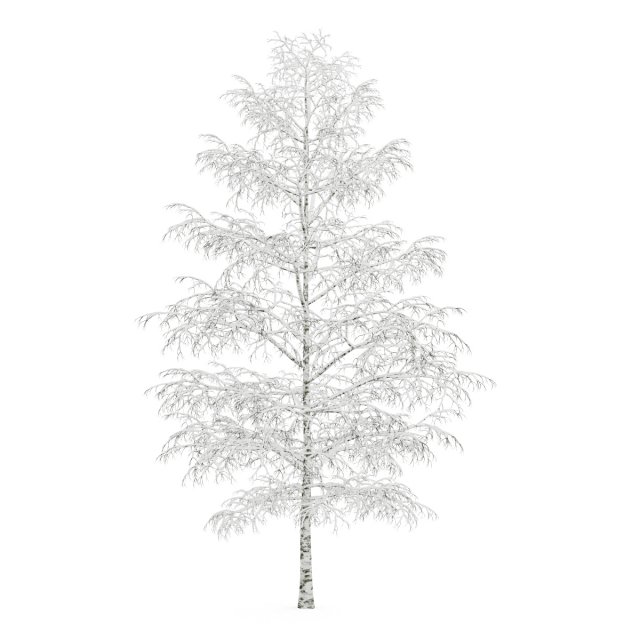 birchtree 8m winter 3D मॉडल .c4d .max .obj .3ds .fbx .stl .blend 