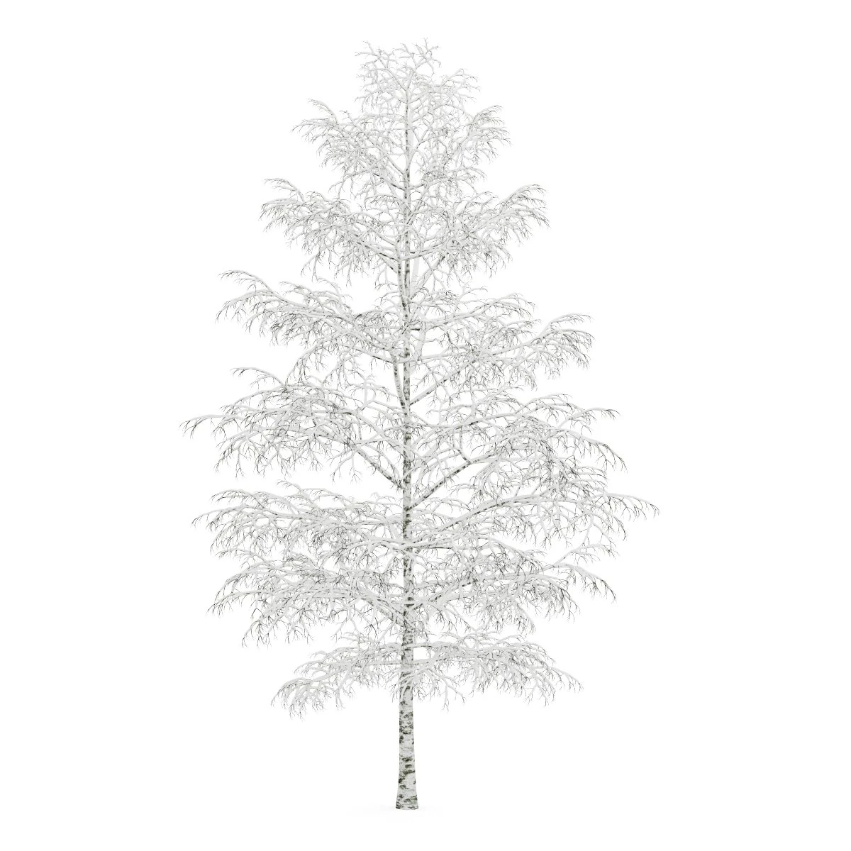 birchtree 8m winter 3D Model .c4d .max .obj .3ds .fbx .stl .blend 