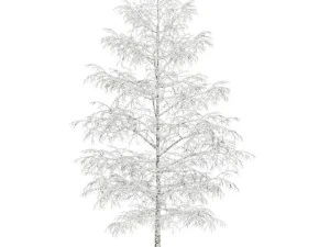 brzoza 8m zima Model 3D