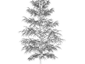 birchtree 8m winter 3D Model