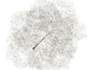 chestnut 7m winter Modelo 3D