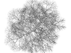 chestnut 7m winter Modelo 3D